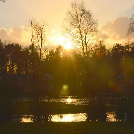 In Near Nature Reserve *