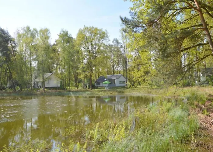 In Near Nature Reserve Holiday home Stramproy