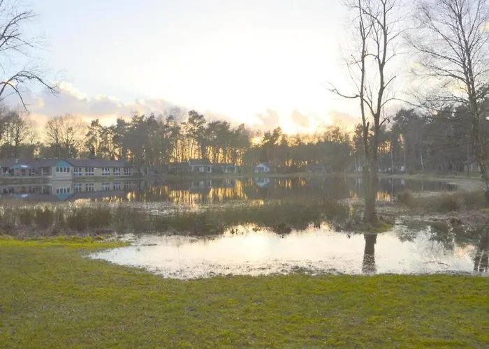 In Near Nature Reserve *