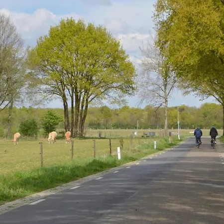Ferienhaus In Near Nature Reserve Stramproy