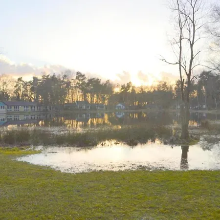 In Near Nature Reserve *